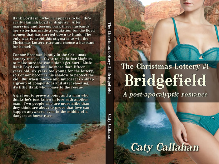 Christmas Lottery 1 Bridgefield by Caty Callahan | Sweet Christian Romances with Adventure